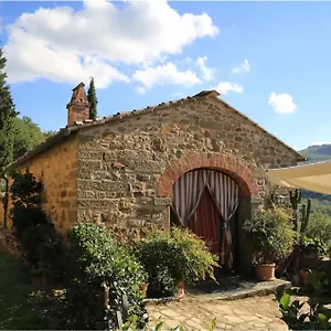 Divinae Cintoia Greve in Chianti